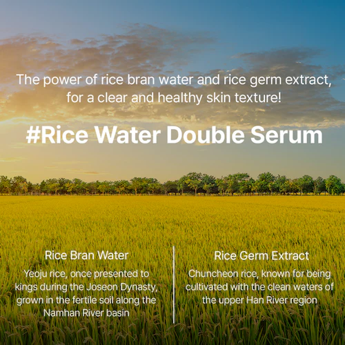 [Abelty] Rice Squalane Glow Double Serum 50ml - Image 6
