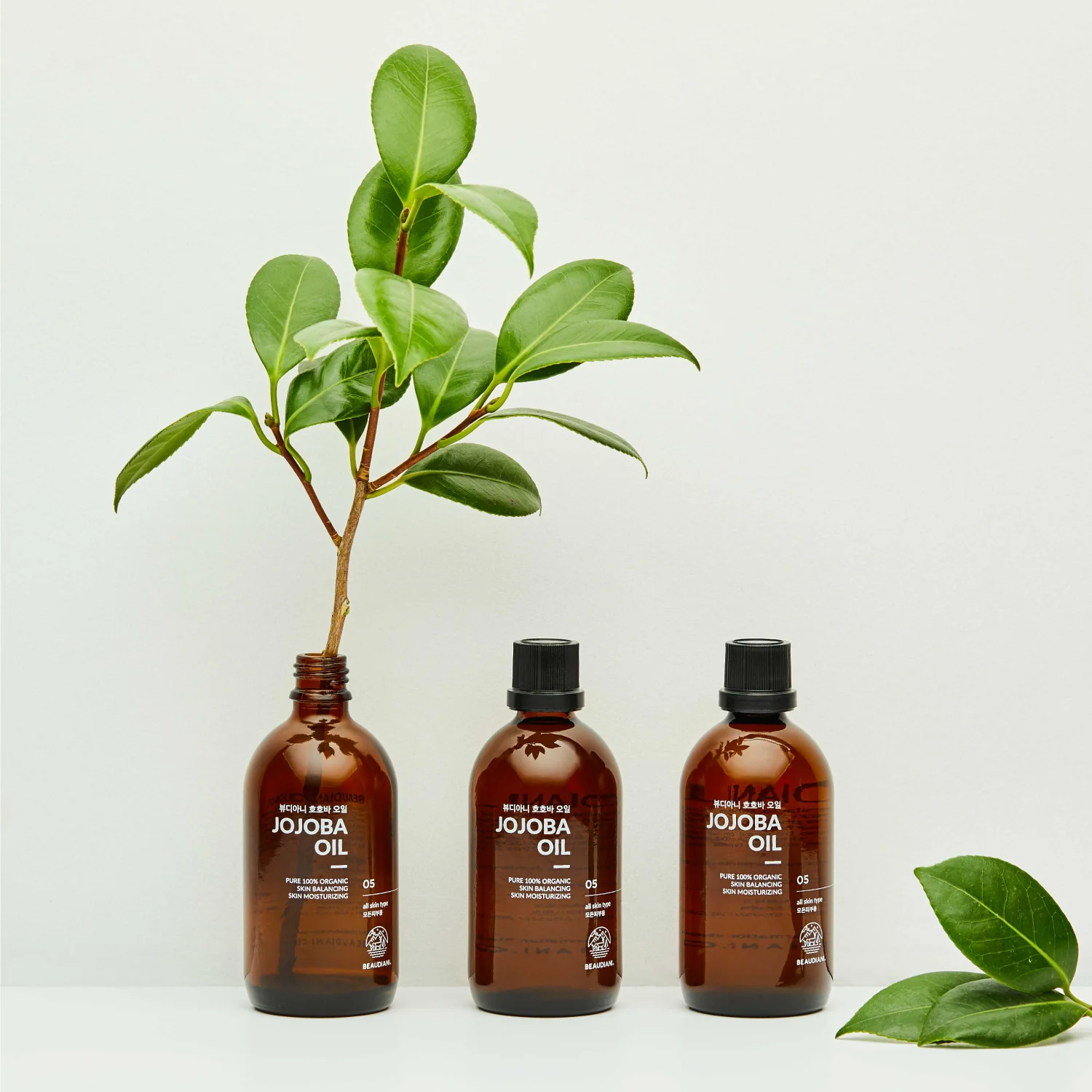 [Beaudiani] Aceite de jojoba 100 ml - Image 9