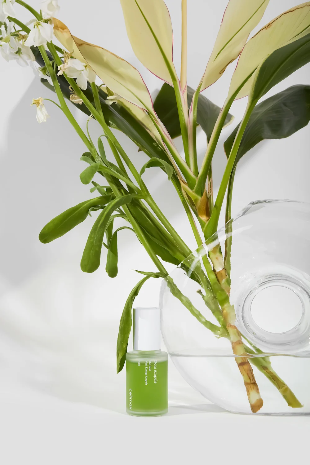 [celimax] THE REAL NONI ENERGY AMPOULE 30ml - Image 24