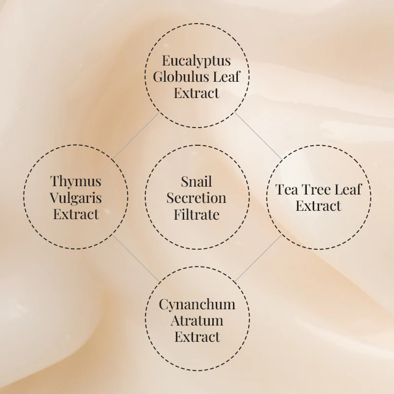 [Coeur] Ghost Repair Cream 50ml - Image 6