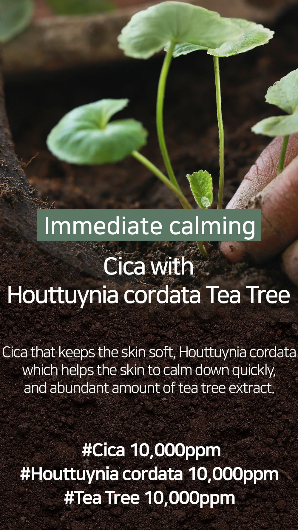 [Mary&May] Cica Houttuynia cordata Tea Tree Calming Mask Pack - 30 sheets - Image 10
