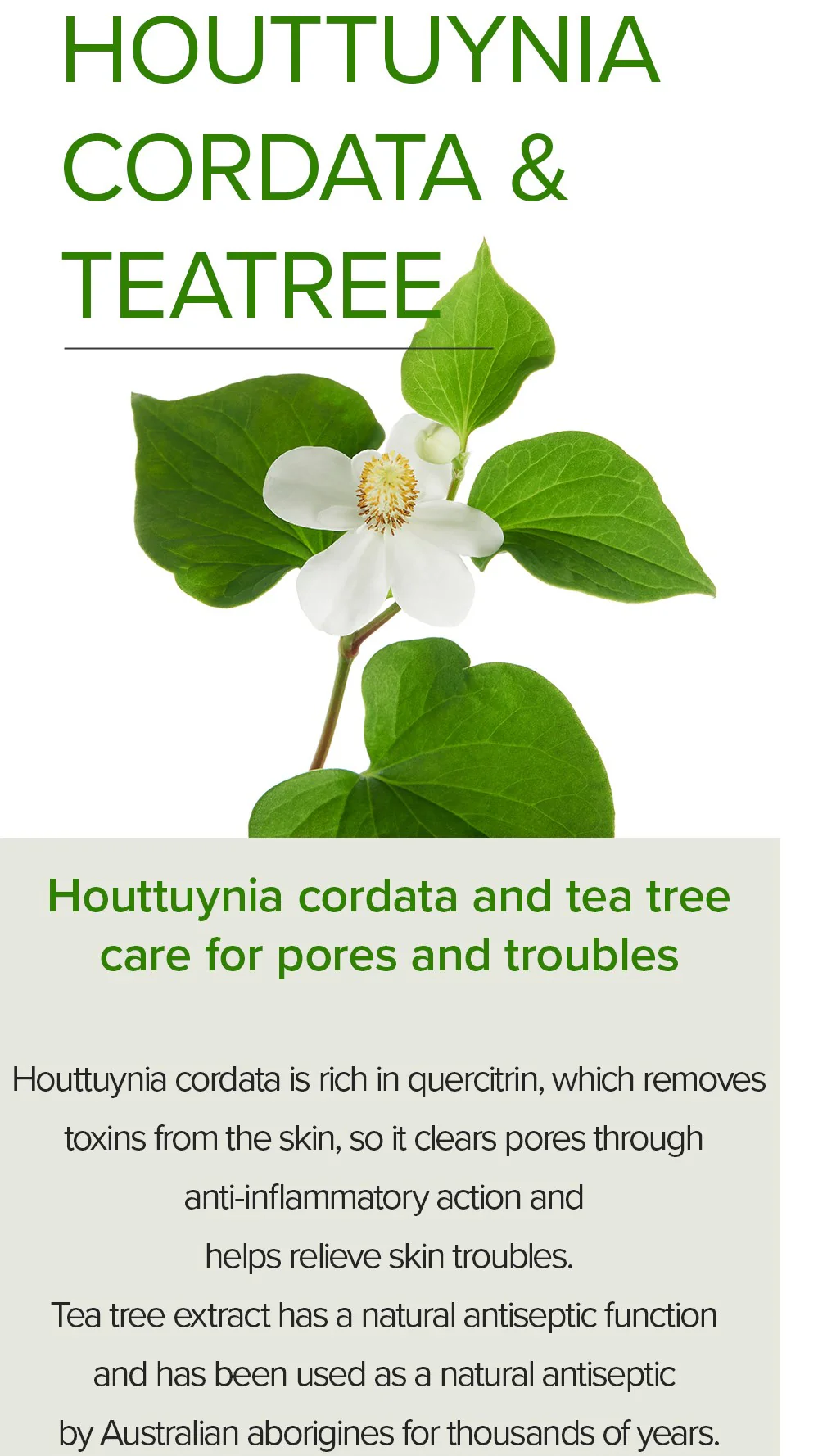 [Mary&May] Houttuynia Cordata +Tea Tree Serum - 30ml - Image 10