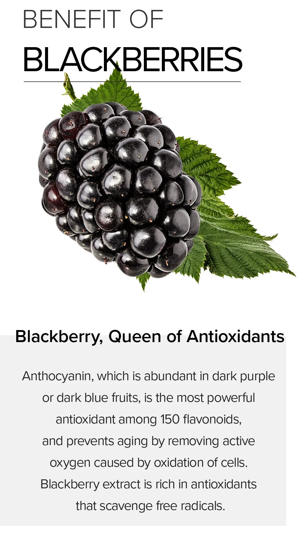 [Mary&May] Idebenone + Blackberry Complex Serum - 30ml - Image 4