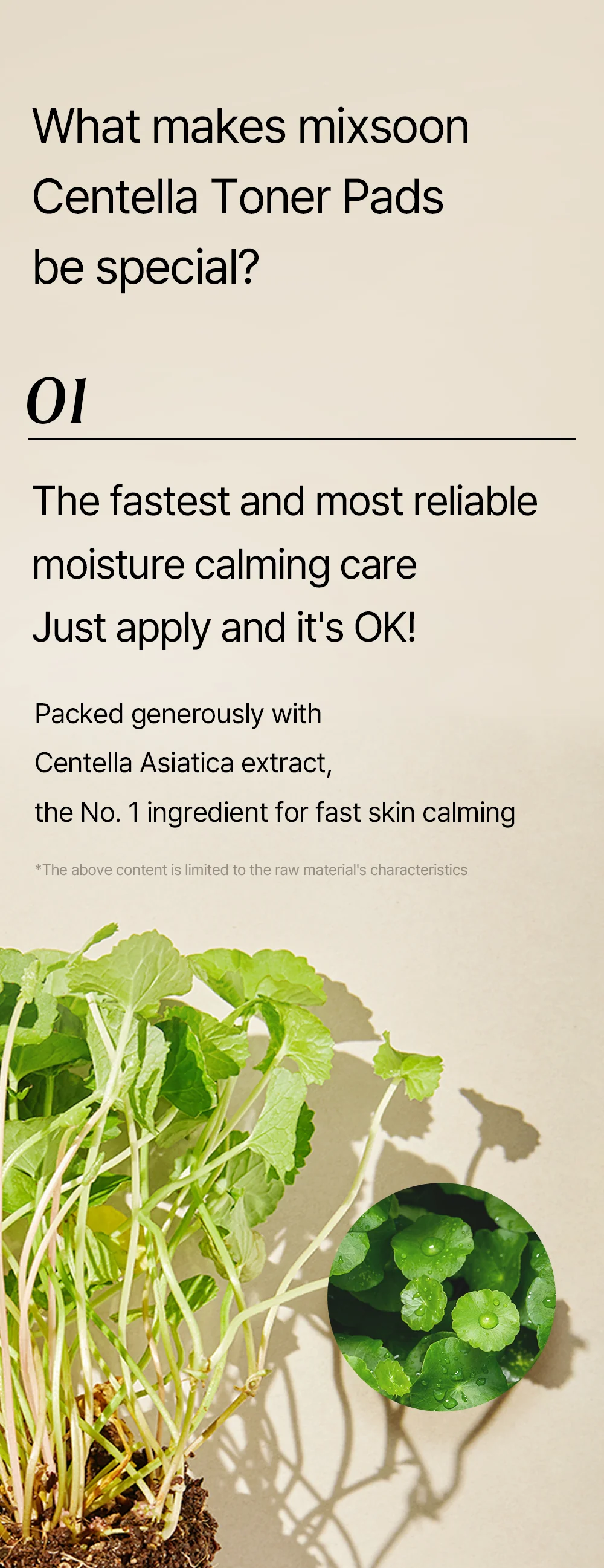 [MIXSOON] Centella Toner Pad 120ea - Image 7