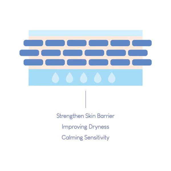 [Purito] Dermide Cica Barrier Sleeping Pack 80ml - Image 5
