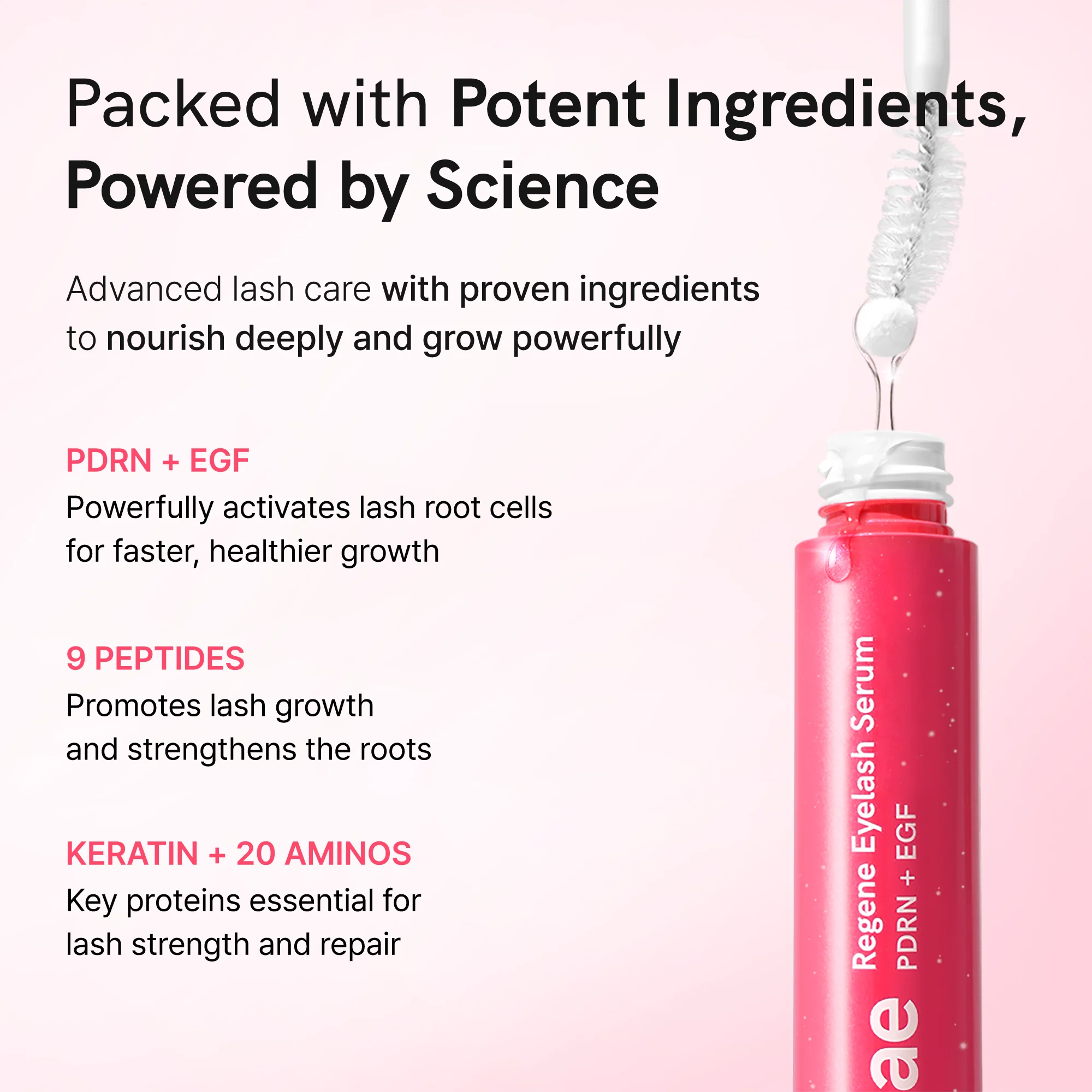 [Ruminae]  Regene Eyelash Serum 10ml - Image 4