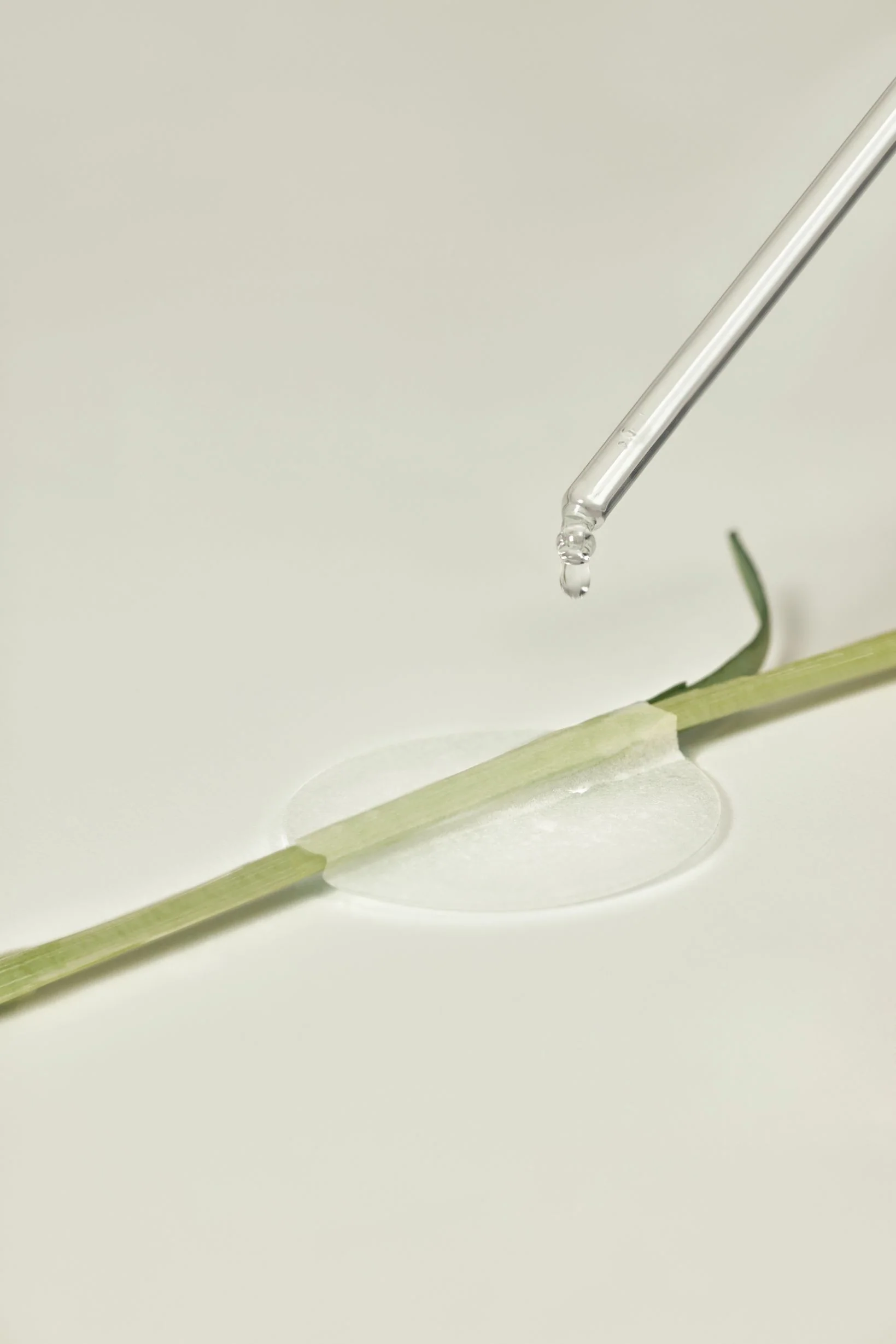 [THE LAB By BLANC DOUX] Green Flavonoid™ 2.5 Pad 120g (90p) - Image 5