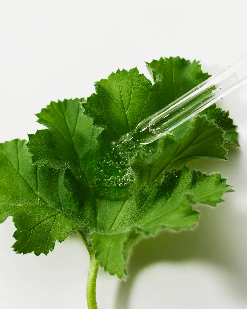 [THE LAB By BLANC DOUX] Green Flavonoid™ 5.0 Serum 30ml - Image 7
